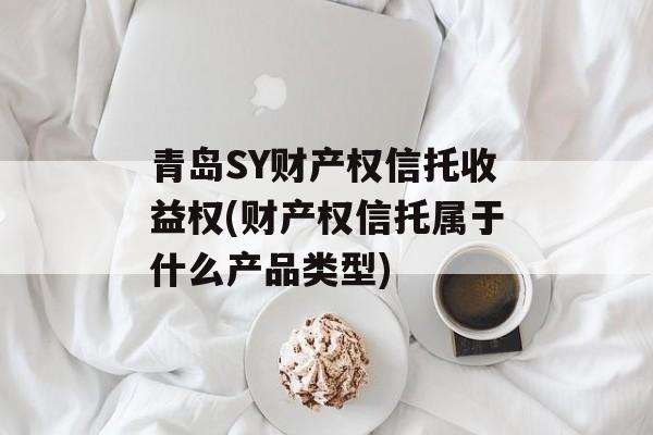 青岛SY财产权信托收益权(财产权信托属于什么产品类型)