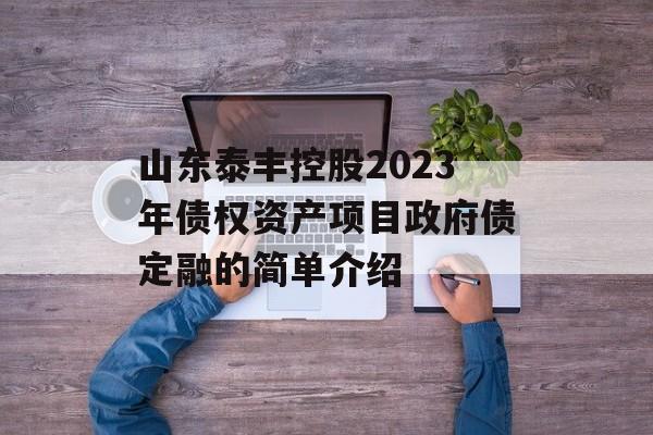 山东泰丰控股2023年债权资产项目政府债定融的简单介绍