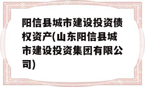 阳信县城市建设投资债权资产(山东阳信县城市建设投资集团有限公司)