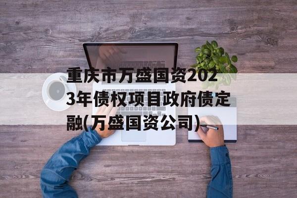 重庆市万盛国资2023年债权项目政府债定融(万盛国资公司)