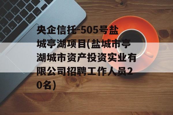 央企信托-505号盐城亭湖项目(盐城市亭湖城市资产投资实业有限公司招聘工作人员20名)