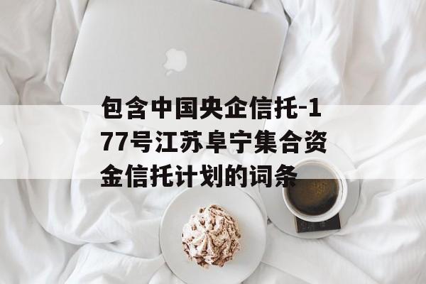 包含中国央企信托-177号江苏阜宁集合资金信托计划的词条