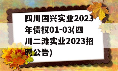 四川国兴实业2023年债权01-03(四川二滩实业2023招聘公告)