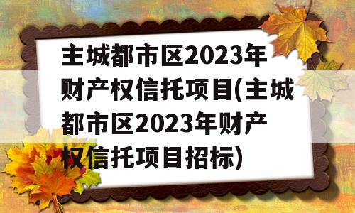 主城都市区2023年财产权信托项目(主城都市区2023年财产权信托项目招标)