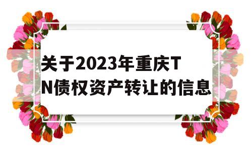 关于2023年重庆TN债权资产转让的信息