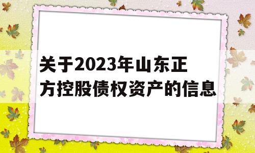 关于2023年山东正方控股债权资产的信息