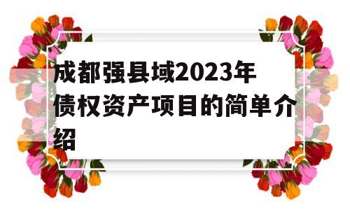 成都强县域2023年债权资产项目的简单介绍