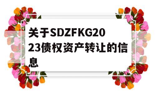 关于SDZFKG2023债权资产转让的信息