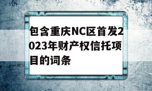 包含重庆NC区首发2023年财产权信托项目的词条