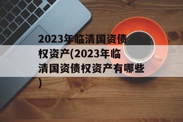 2023年临清国资债权资产(2023年临清国资债权资产有哪些)