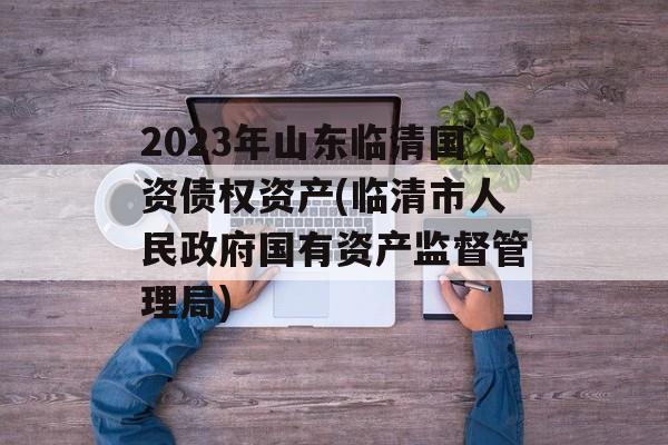 2023年山东临清国资债权资产(临清市人民政府国有资产监督管理局)