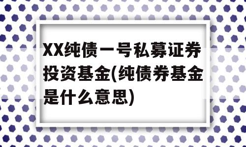 XX纯债一号私募证券投资基金(纯债券基金是什么意思)