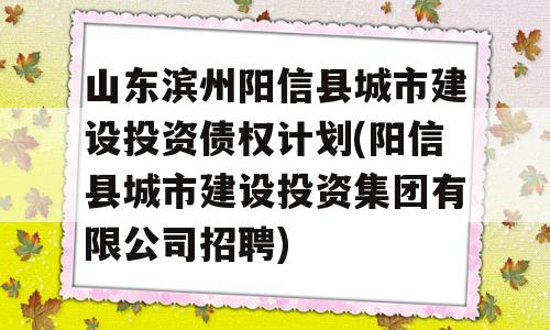 山东滨州阳信县城市建设投资债权计划(阳信县城市建设投资集团有限公司招聘)