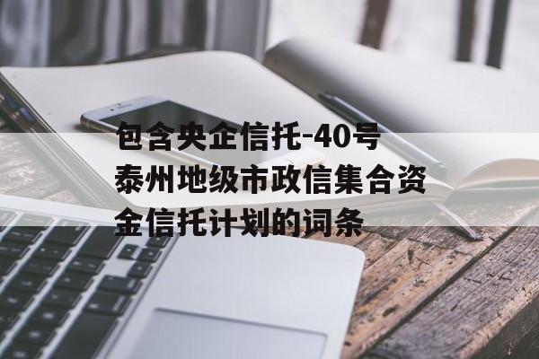 包含央企信托-40号泰州地级市政信集合资金信托计划的词条