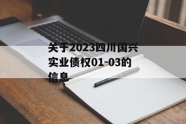 关于2023四川国兴实业债权01-03的信息