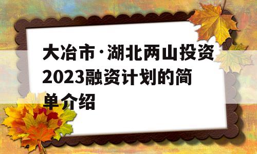 大冶市·湖北两山投资2023融资计划的简单介绍