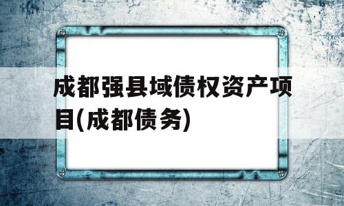 成都强县域债权资产项目(成都债务)