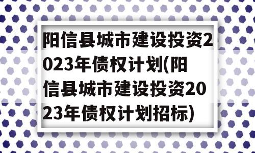 阳信县城市建设投资2023年债权计划(阳信县城市建设投资2023年债权计划招标)