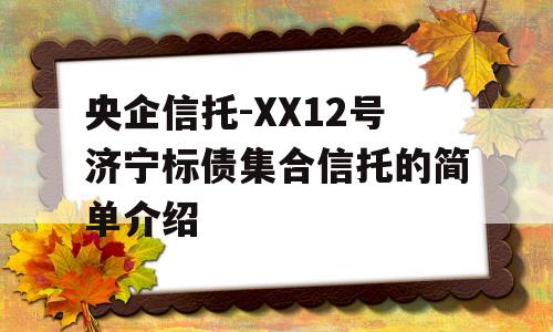 央企信托-XX12号济宁标债集合信托的简单介绍