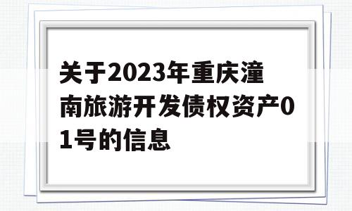 关于2023年重庆潼南旅游开发债权资产01号的信息