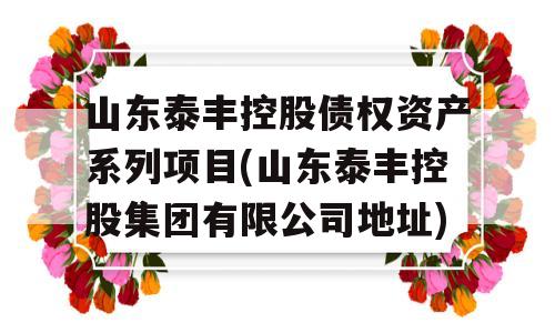 山东泰丰控股债权资产系列项目(山东泰丰控股集团有限公司地址)