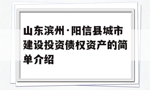 山东滨州·阳信县城市建设投资债权资产的简单介绍