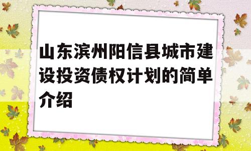 山东滨州阳信县城市建设投资债权计划的简单介绍