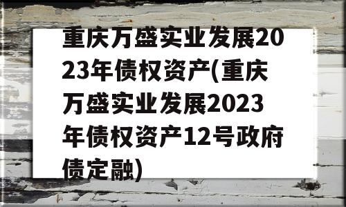 重庆万盛实业发展2023年债权资产(重庆万盛实业发展2023年债权资产12号政府债定融)