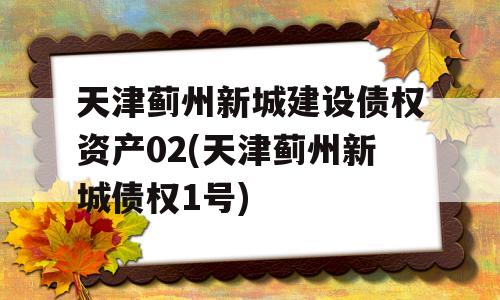 天津蓟州新城建设债权资产02(天津蓟州新城债权1号)