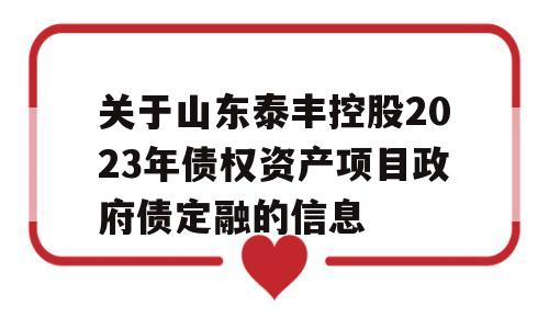 关于山东泰丰控股2023年债权资产项目政府债定融的信息