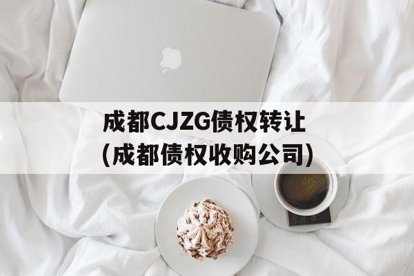 成都CJZG债权转让(成都债权收购公司)