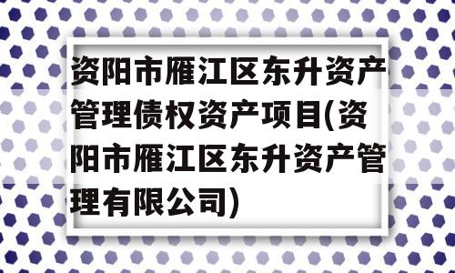 资阳市雁江区东升资产管理债权资产项目(资阳市雁江区东升资产管理有限公司)