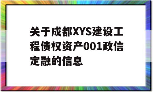 关于成都XYS建设工程债权资产001政信定融的信息