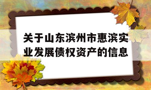 关于山东滨州市惠滨实业发展债权资产的信息