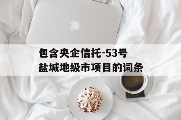 包含央企信托-53号盐城地级市项目的词条