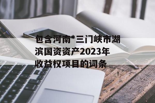 包含河南*三门峡市湖滨国资资产2023年收益权项目的词条