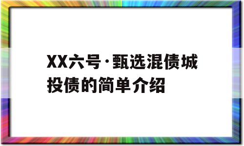 XX六号·甄选混债城投债的简单介绍