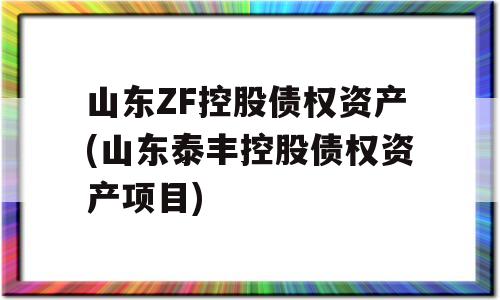 山东ZF控股债权资产(山东泰丰控股债权资产项目)