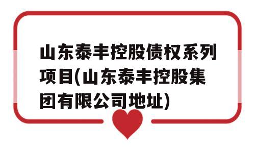 山东泰丰控股债权系列项目(山东泰丰控股集团有限公司地址)