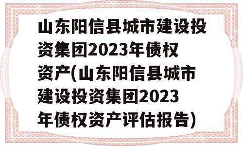 山东阳信县城市建设投资集团2023年债权资产(山东阳信县城市建设投资集团2023年债权资产评估报告)