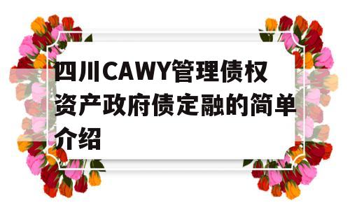 四川CAWY管理债权资产政府债定融的简单介绍