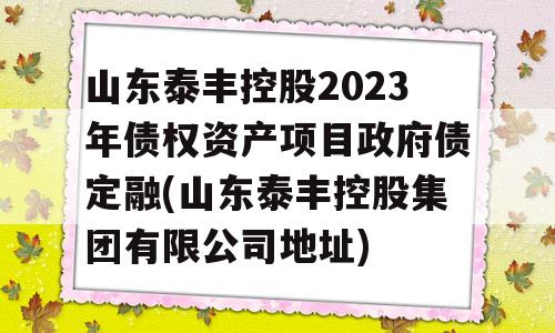 山东泰丰控股2023年债权资产项目政府债定融(山东泰丰控股集团有限公司地址)