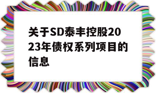 关于SD泰丰控股2023年债权系列项目的信息