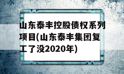 山东泰丰控股债权系列项目(山东泰丰集团复工了没2020年)