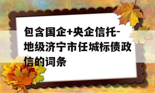 包含国企+央企信托-地级济宁市任城标债政信的词条