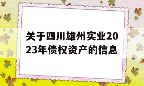 关于四川雄州实业2023年债权资产的信息