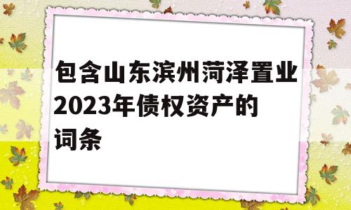 包含山东滨州菏泽置业2023年债权资产的词条