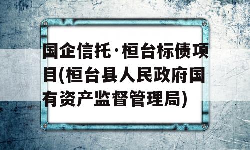 国企信托·桓台标债项目(桓台县人民政府国有资产监督管理局)