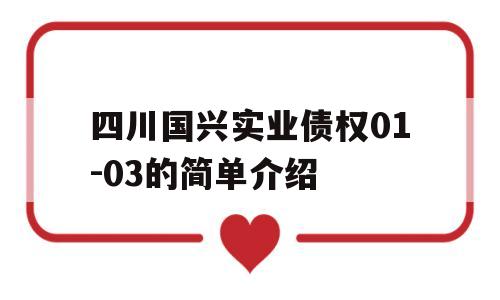 四川国兴实业债权01-03的简单介绍