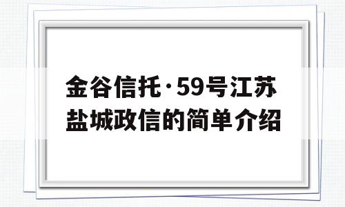 金谷信托·59号江苏盐城政信的简单介绍